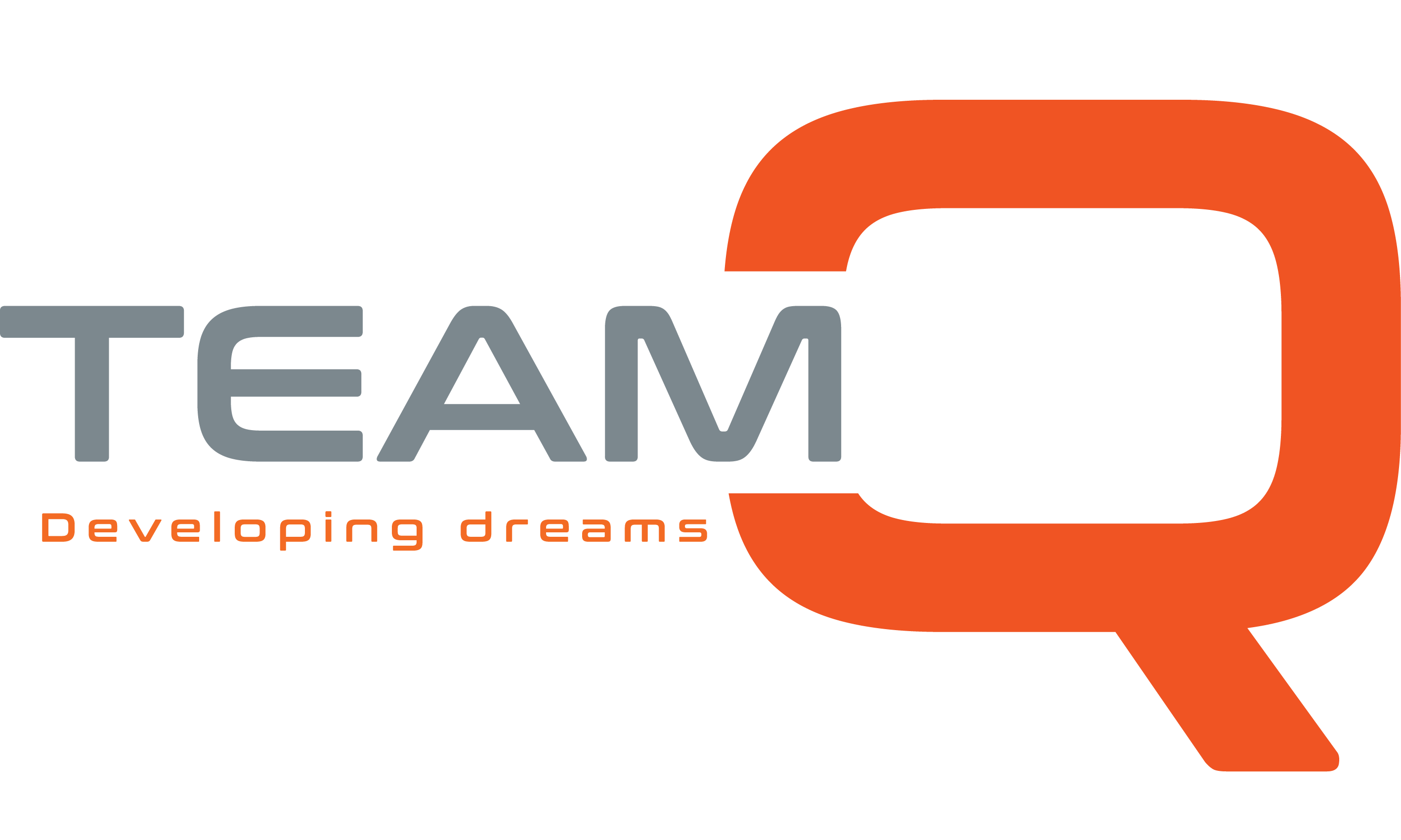 TeamQ